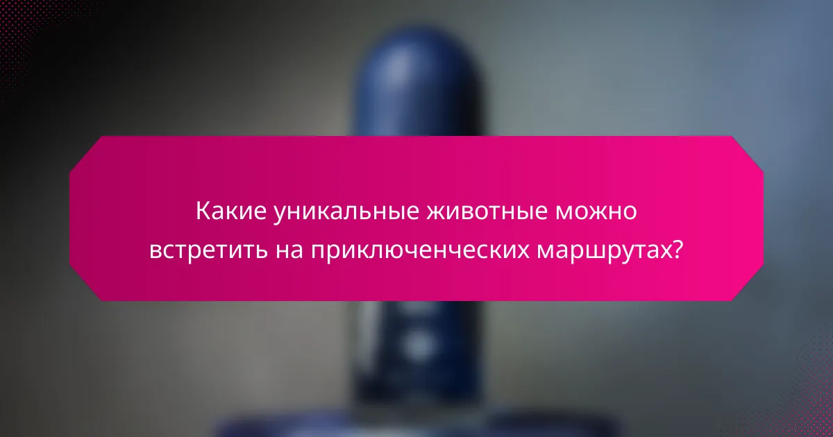 Какие уникальные животные можно встретить на приключенческих маршрутах?